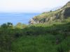 Filename=20060621_Sicilia_014-Riserva-Zingaro.JPG
Filesize=1212KiB
Dimensions=2272x1704
Date added=Sep 06, 2006 20060621_Sicilia_014-Riserva-Zingaro.JPG